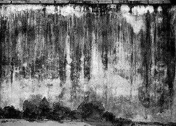 《幻兽帕鲁》Steam评论超25万条 神秘内容即将推出